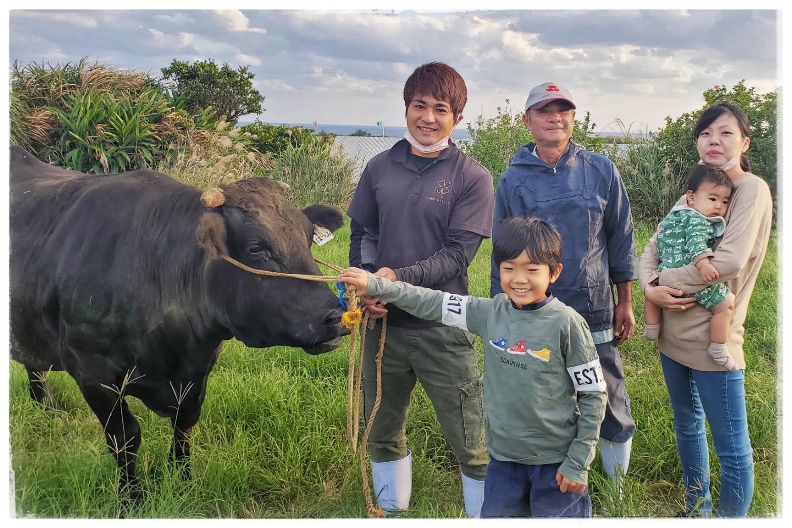 ヨロンアイランドビーフ事業所