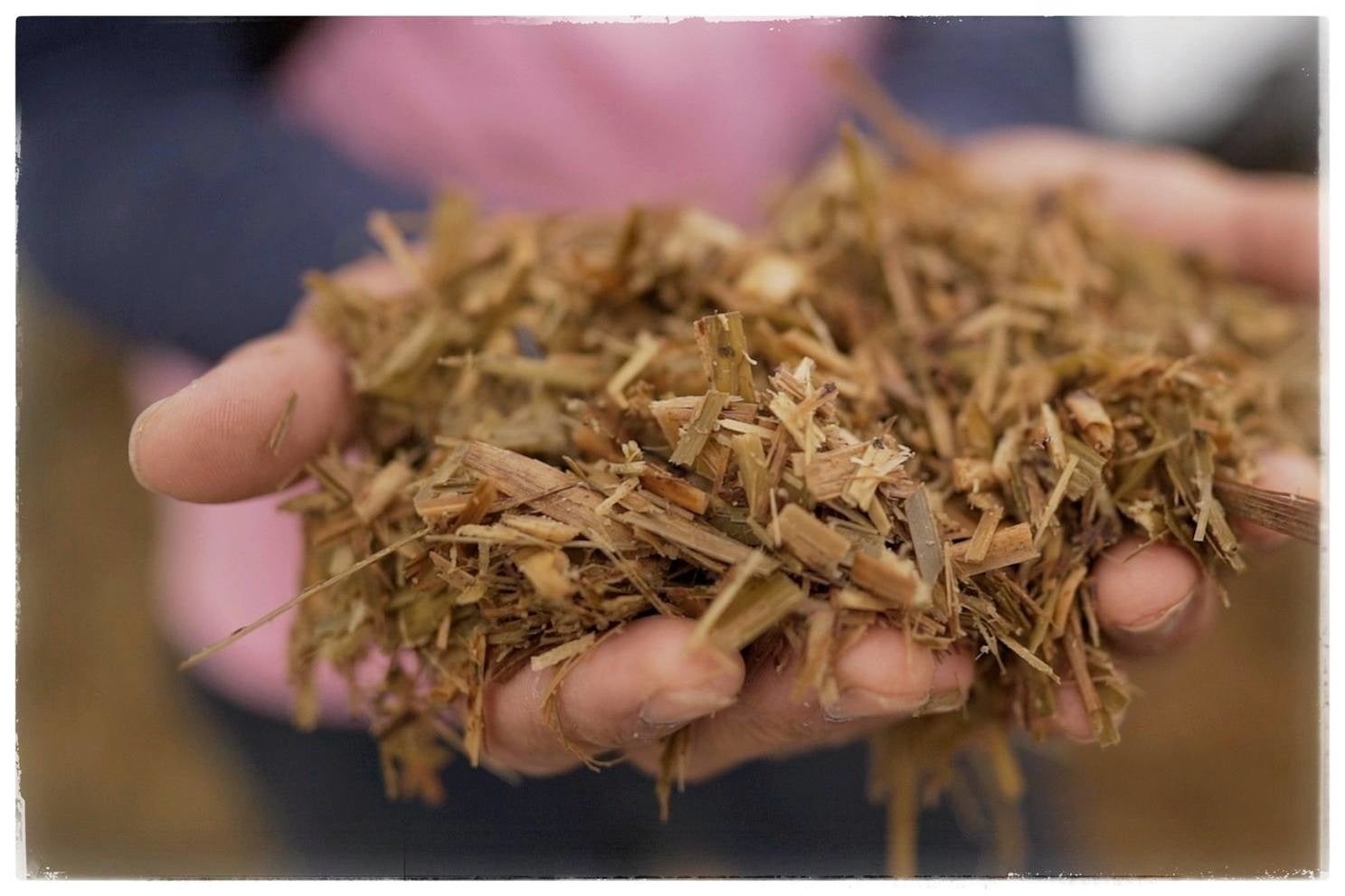 品質改善と加工品の開発