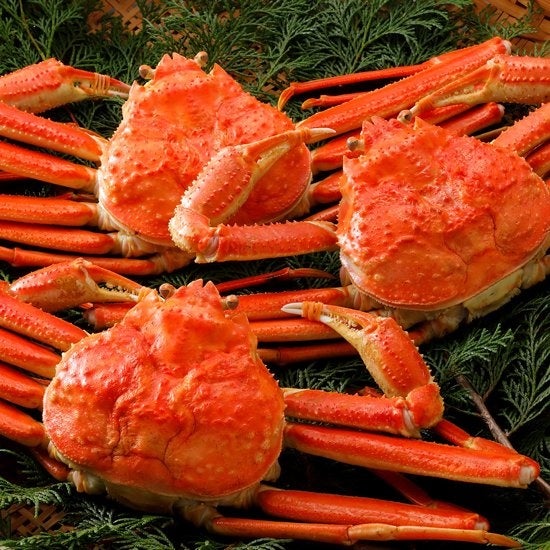 浜茹で訳あり松葉がに2～3枚(約1kg）　表示価格：10,000円(税込)➡会員価格7,000円（税込）