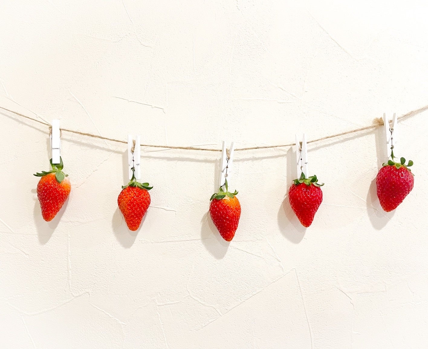 ＊画像はイメージです