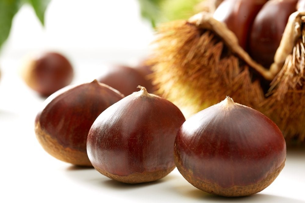 茨城県笠間市 岩間のブランド栗 4L 渋皮煮 3 キロ 笠間の栗