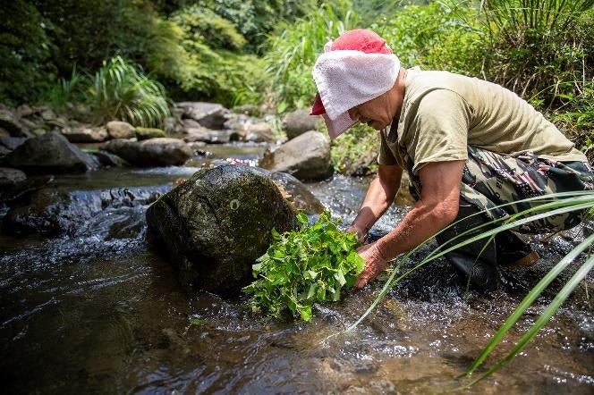 阿原農場の清流2