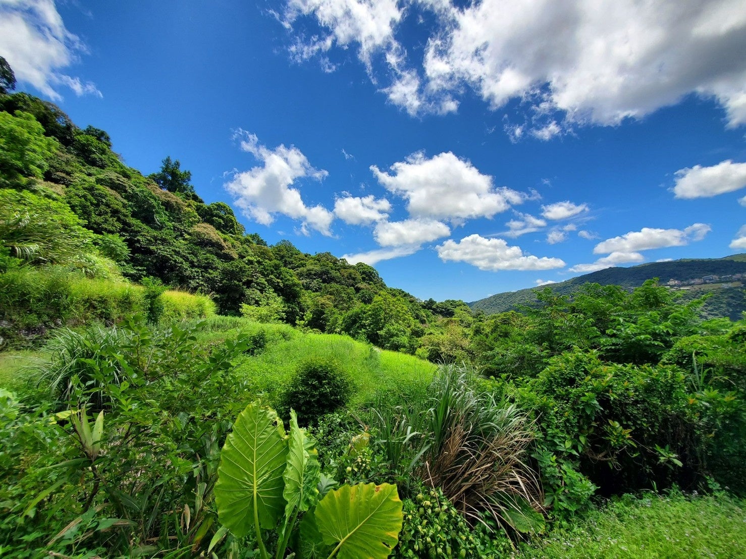 大自然の阿原農場