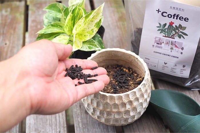 「+Coffee」をご家庭の観葉植物の元肥、追肥に!
