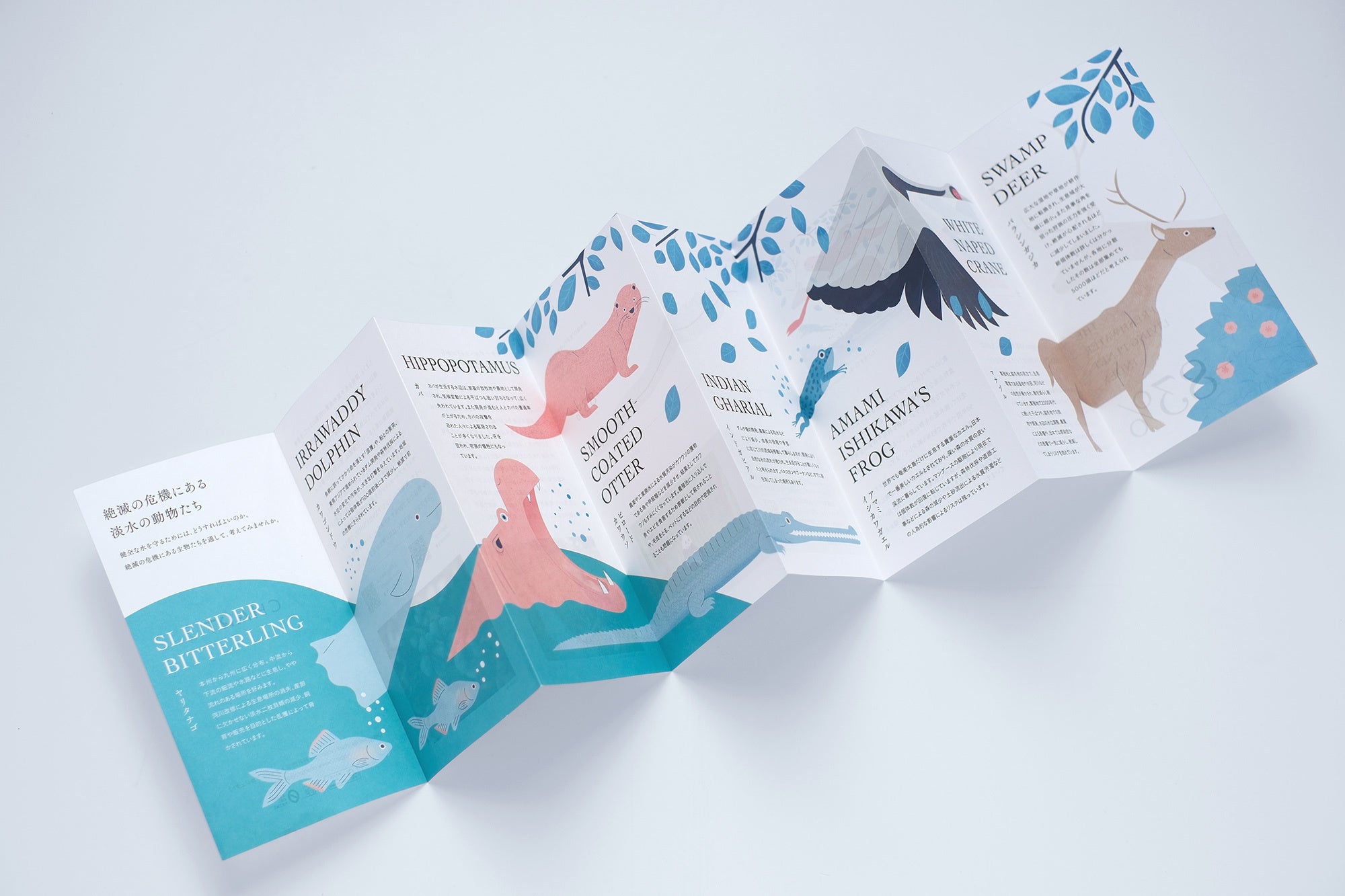 生き物たちの現状を説明しているchart project®デザインのオリジナルリーフレットが商品に同梱されています