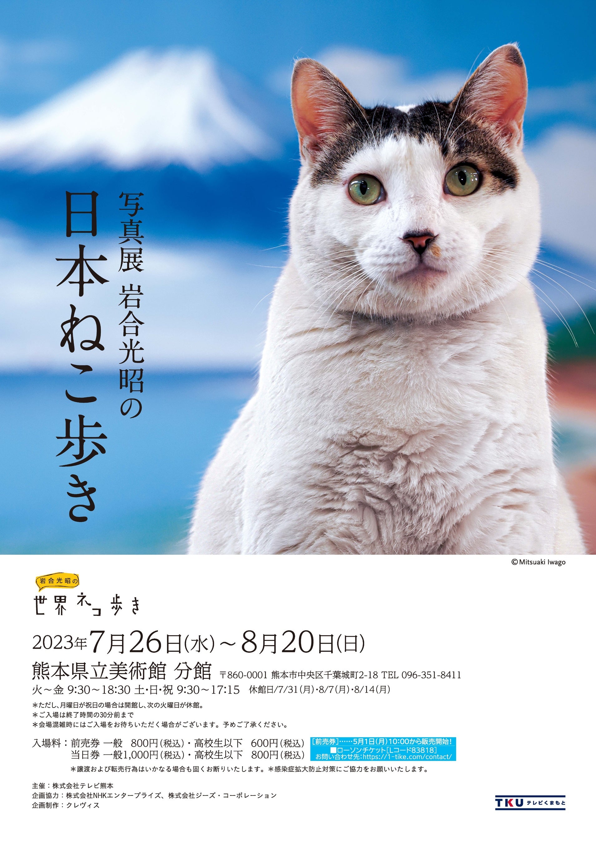 めだかの喜ぶ猫さま(=^・^=)『す』 かべねこ くりっとした目にぷっくりマズルがかわいい猫さま