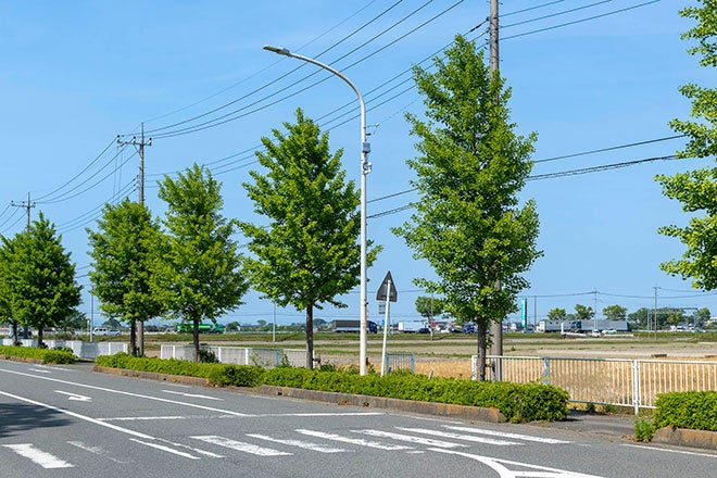 センサ付スマート街路灯で、故障検知だけでなく情報データ収集が可能