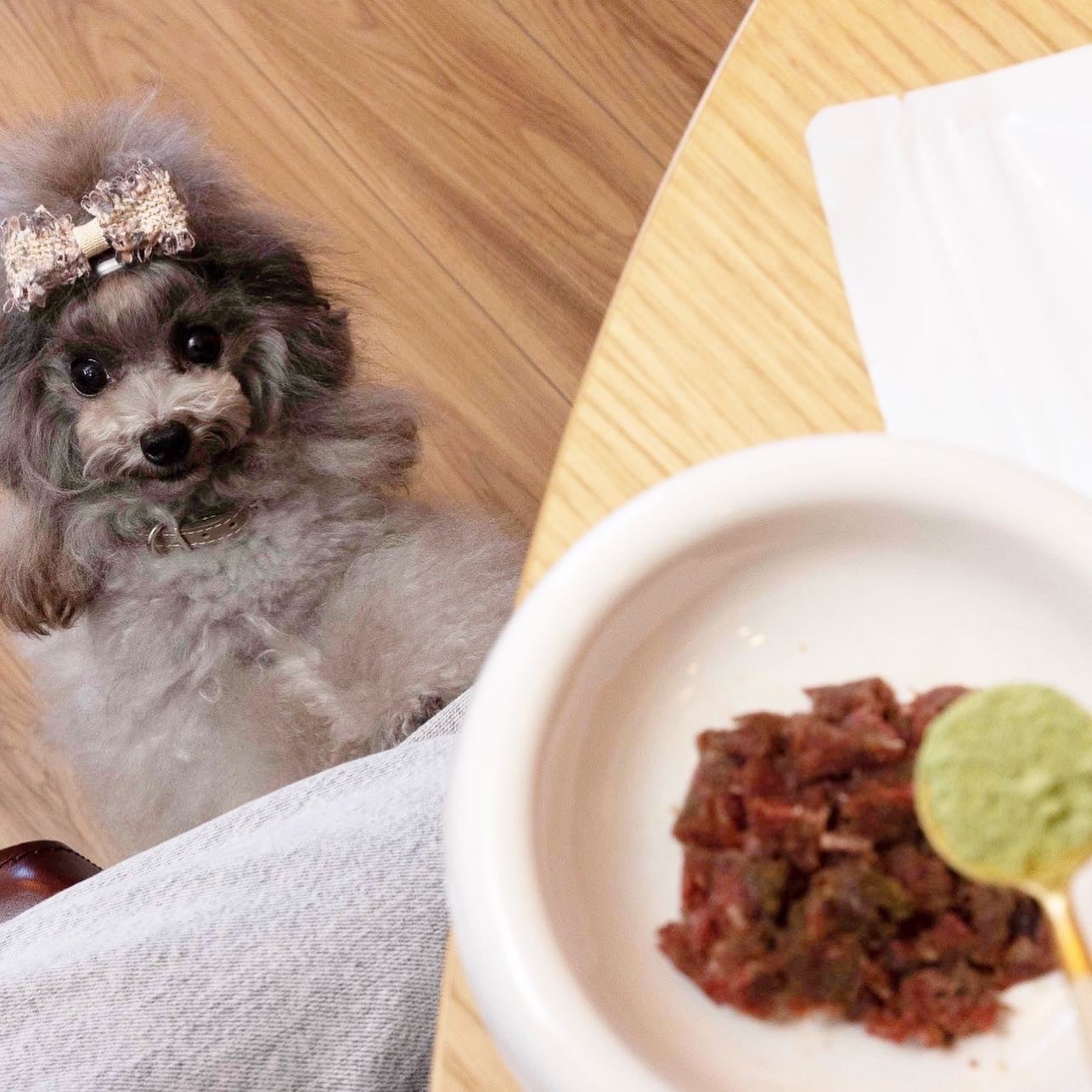 オールインワンサプリメント（粉末）