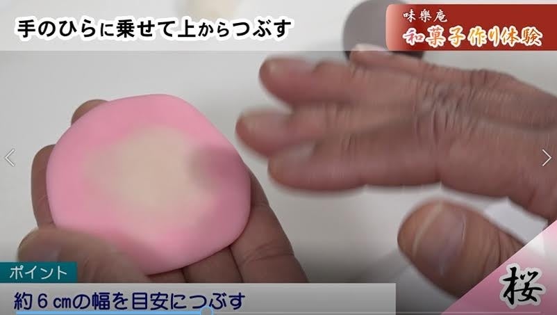 指導動画のキャプチャ画面