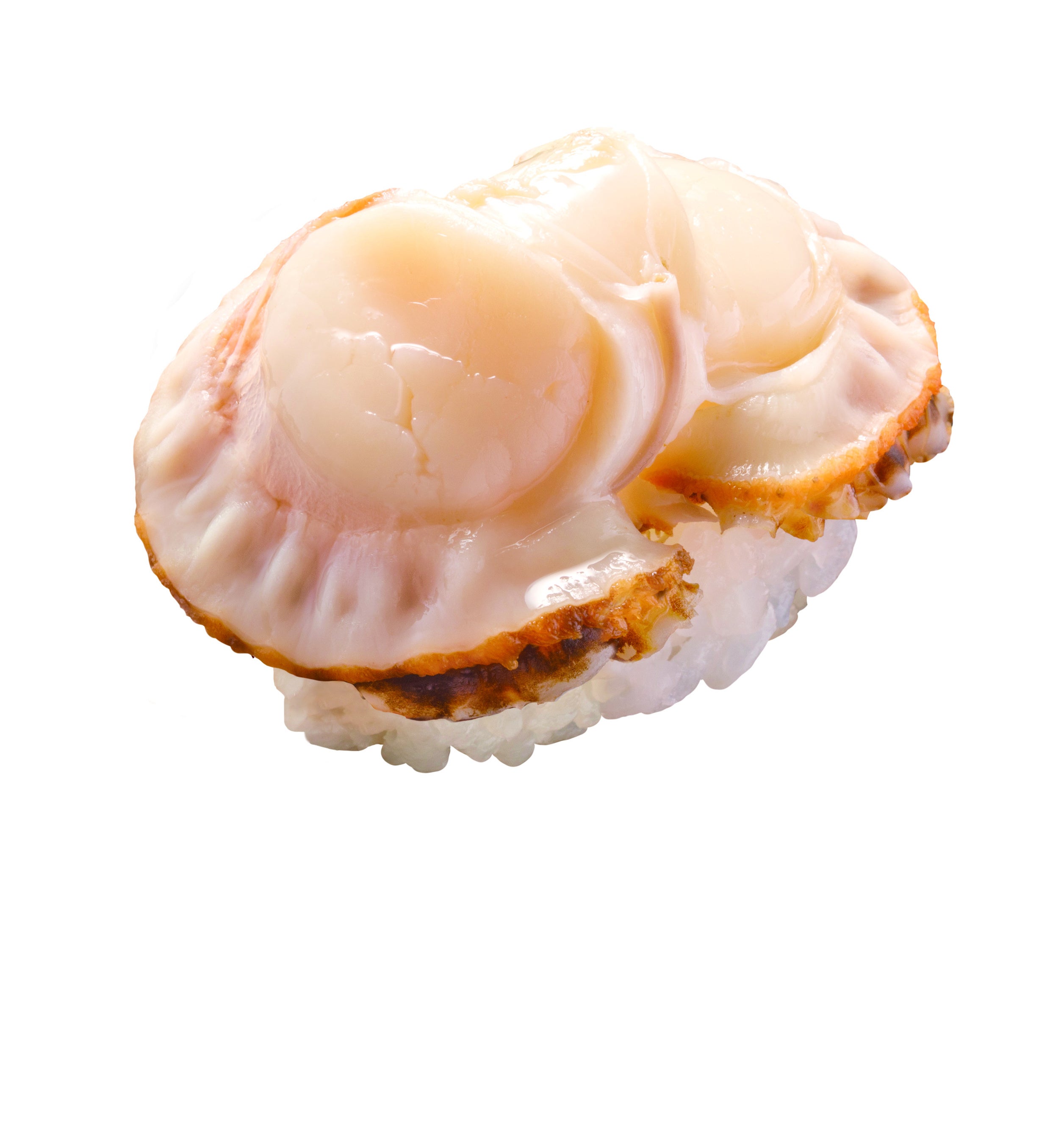 青森県産大粒蒸しほたて