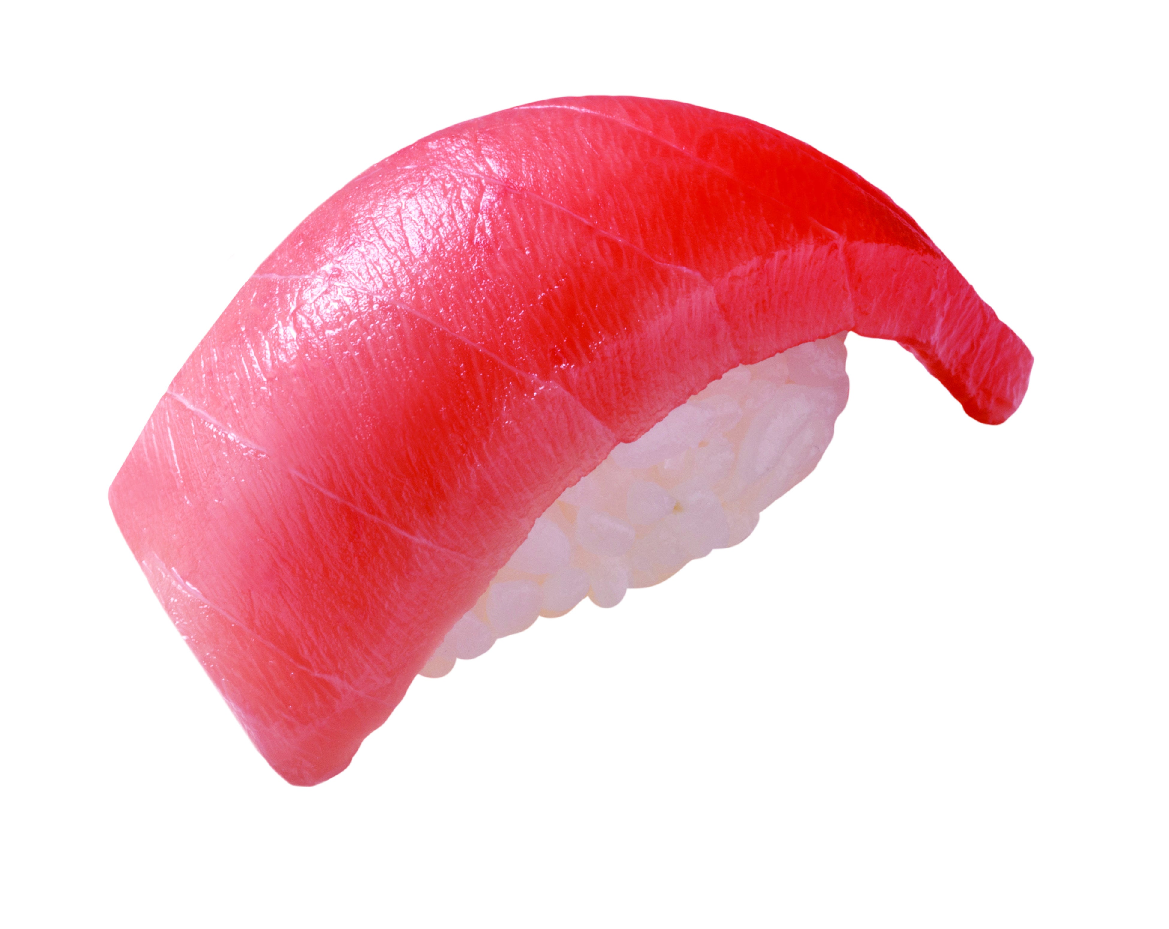 みなみまぐろ中とろ