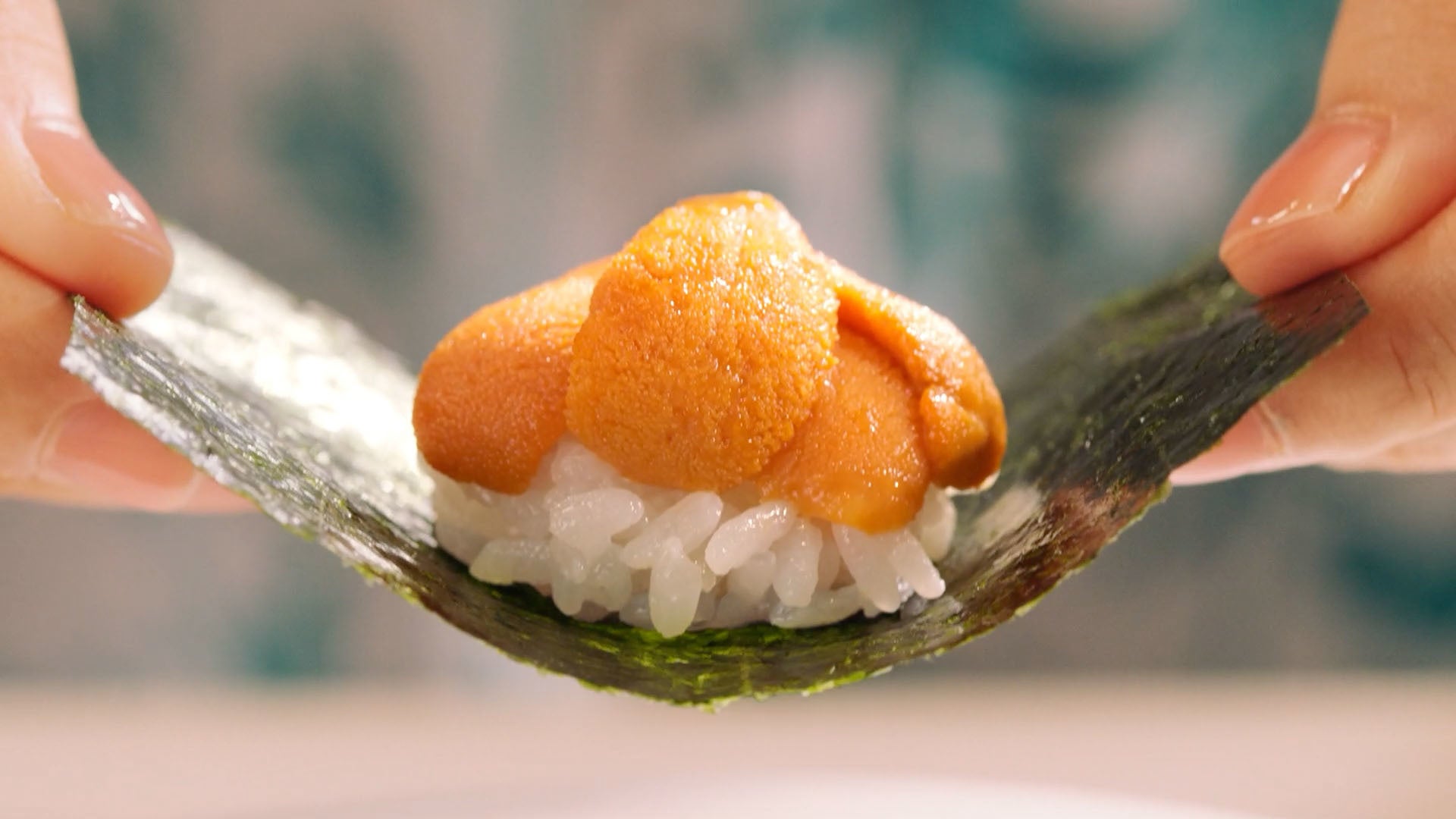 はま寿司 川口春奈さんを起用した新tvcm うに祭 はまい 篇を公開 株式会社ゼンショーホールディングスのプレスリリース