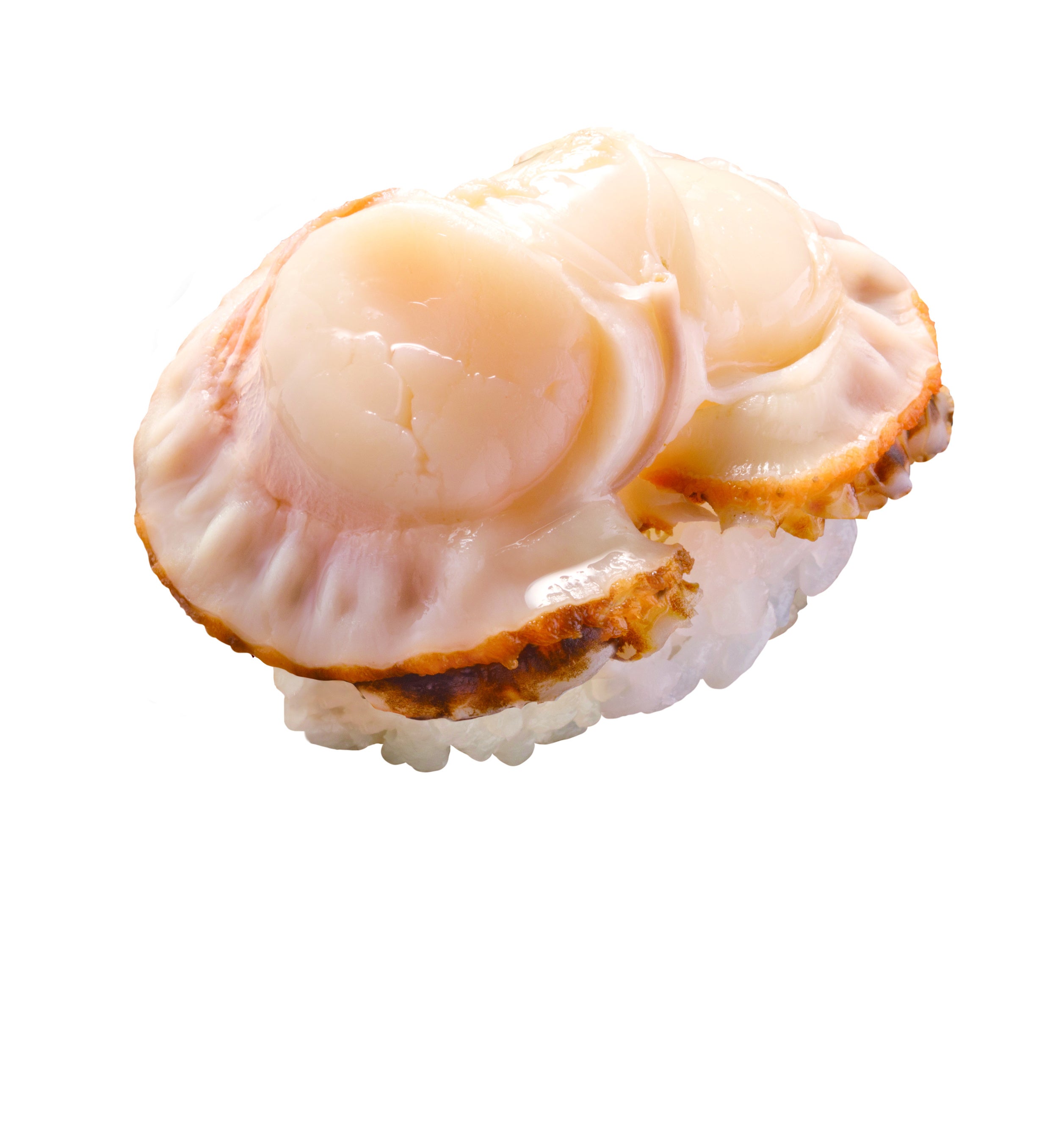 青森県産大粒蒸しほたて