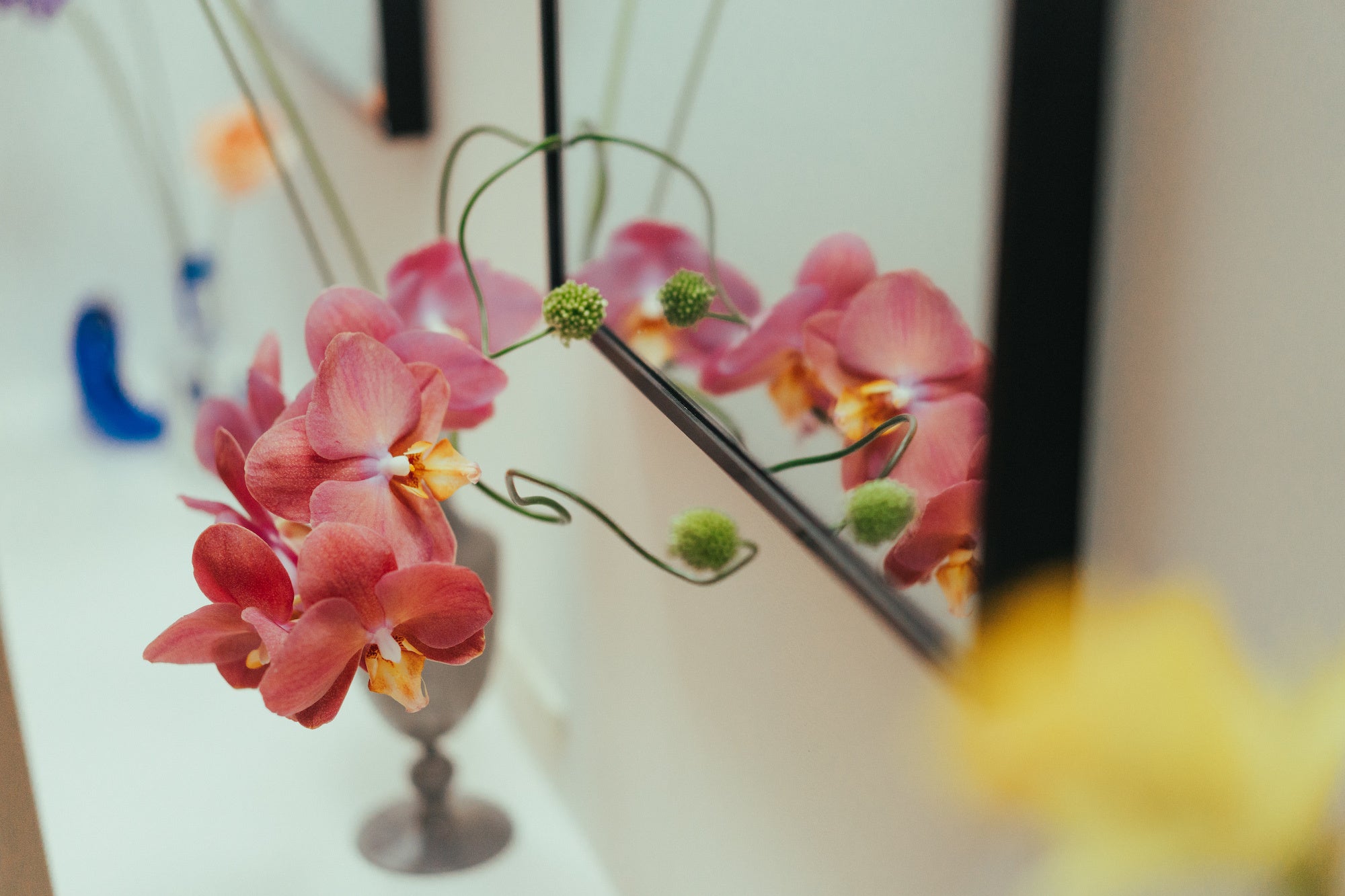 プロのスタイリストが現場で実際に使用したプロップや、現役モデル・インフルエンサーとのコラボアイテムも撮影小物としてリリース予定！