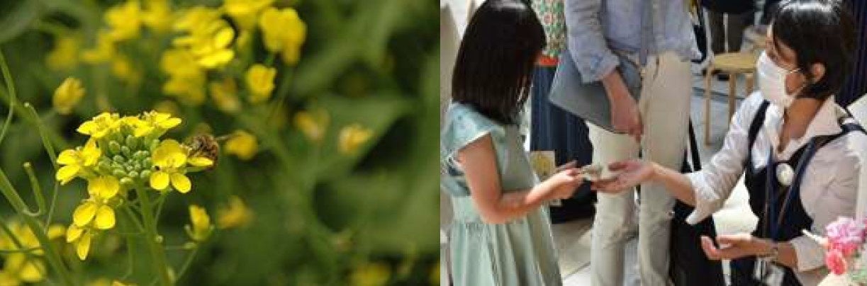 はち育®※イメージ図