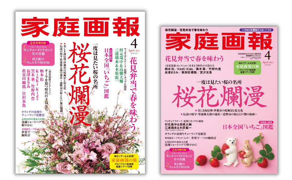 こども怪談新聞 (別冊家庭画報) こども妖怪・怪談新聞 - ほいくとかいごのおかいもの