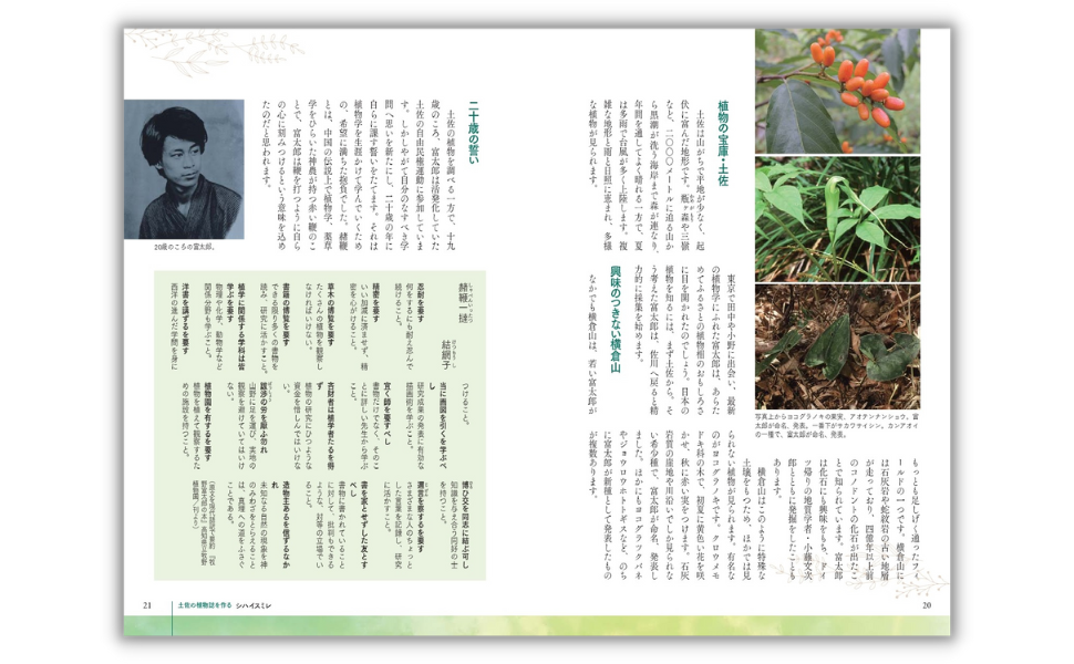 豊富なヴィジュアルで辿る、2023春のNHK朝ドラ「らんまん」の