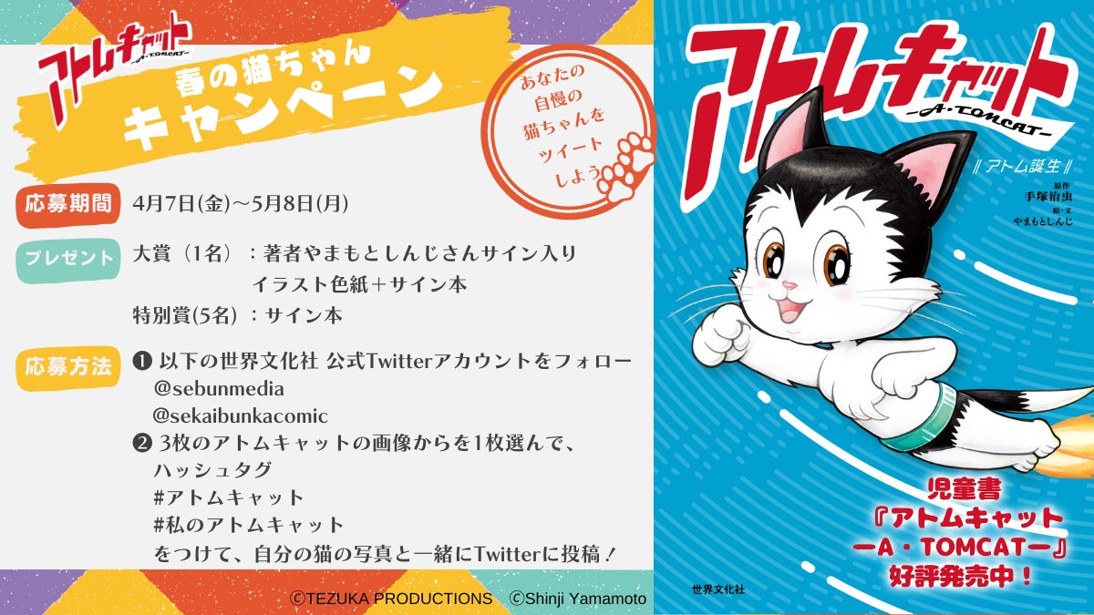 あなたの自慢の猫ちゃんをツイートしよう!「アトムキャット」春の猫 あなたの自慢の猫ちゃんをツイートしよう!「アトムキャット」春の猫
