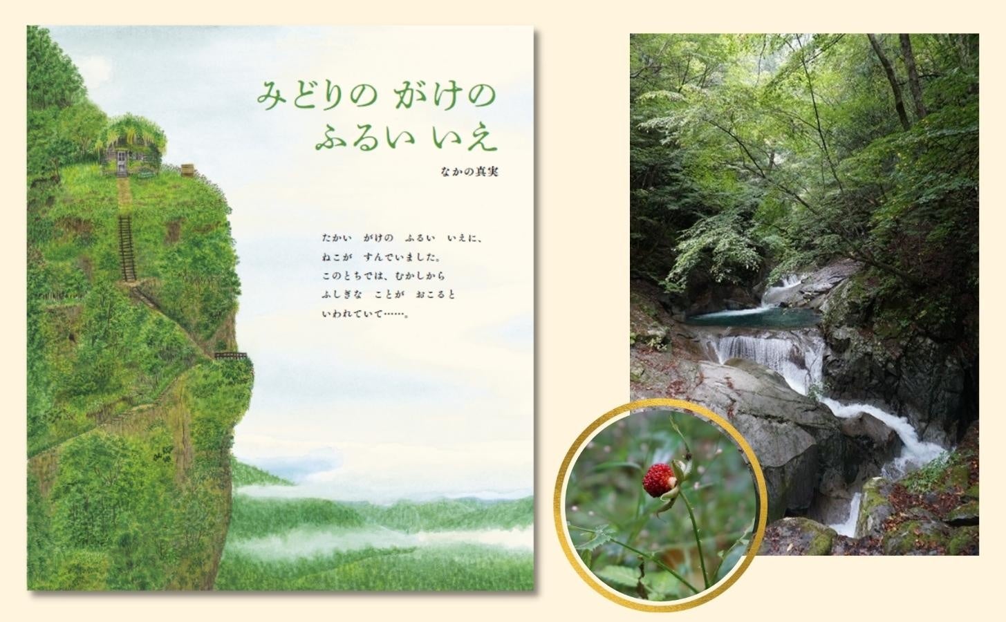 【2点購入150円引】おはなしワンダー　みどりのがけのふるいいえ　なかの真実 おはなしワンダー7月号「みどりの がけの ふるい いえ」刊行