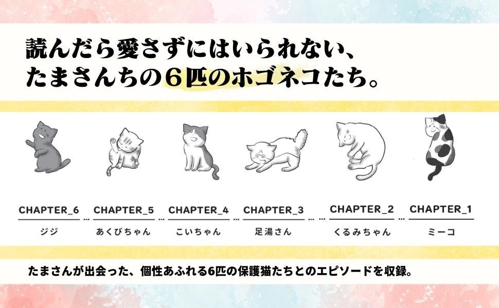 【感動の保護猫物語】SNSで話題のコミックエッセイ『たまさんちのホゴネコ』即重版 【感動の保護猫物語】SNSで話題のコミックエッセイ『たまさんちのホゴネコ』即重版