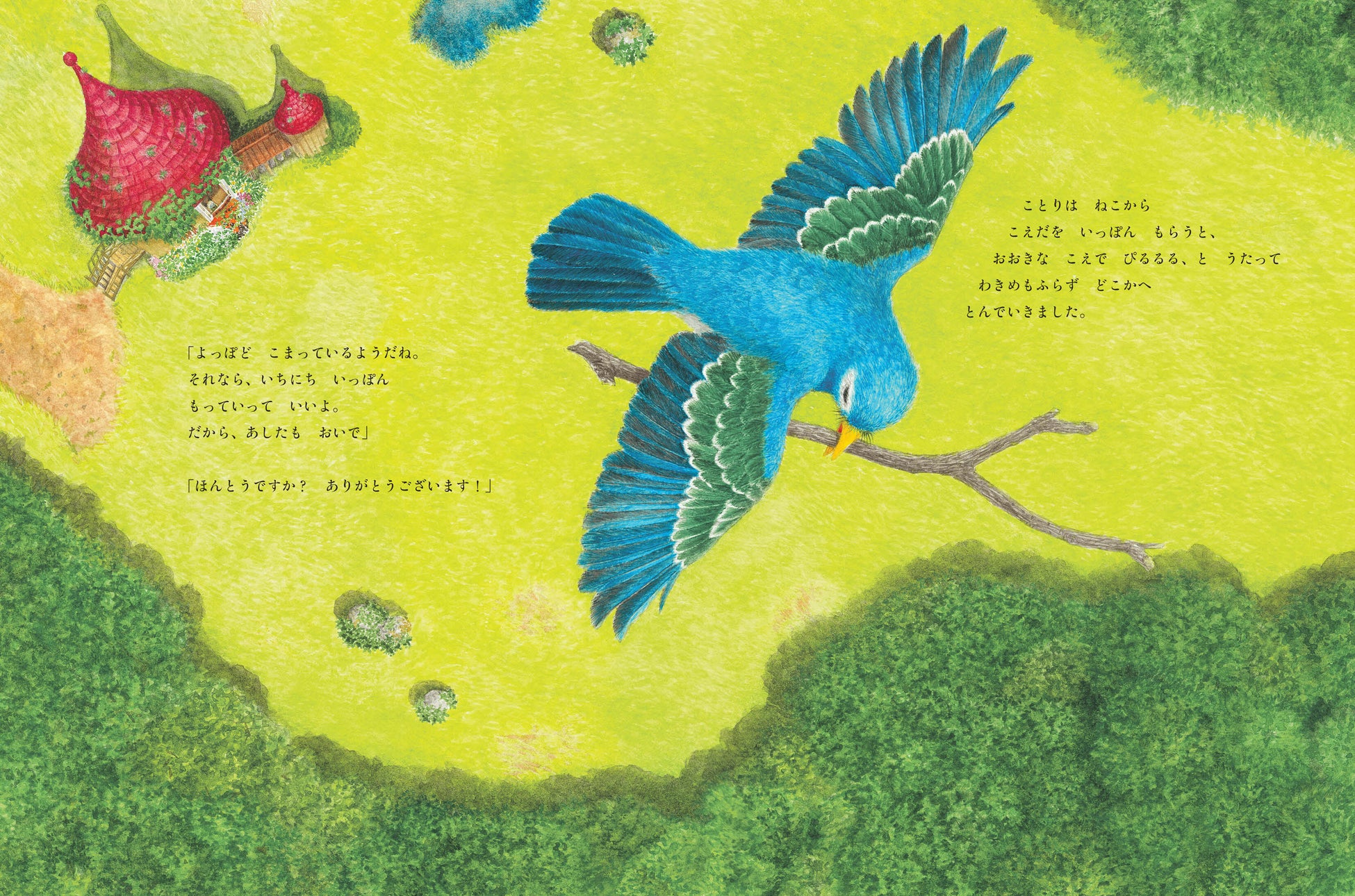 【第16回MOE絵本屋さん大賞2023 受賞】『ねことことり』 美しい絵本の物語 【第16回MOE絵本屋さん大賞2023 受賞】『ねことことり』 美しい絵本の物語