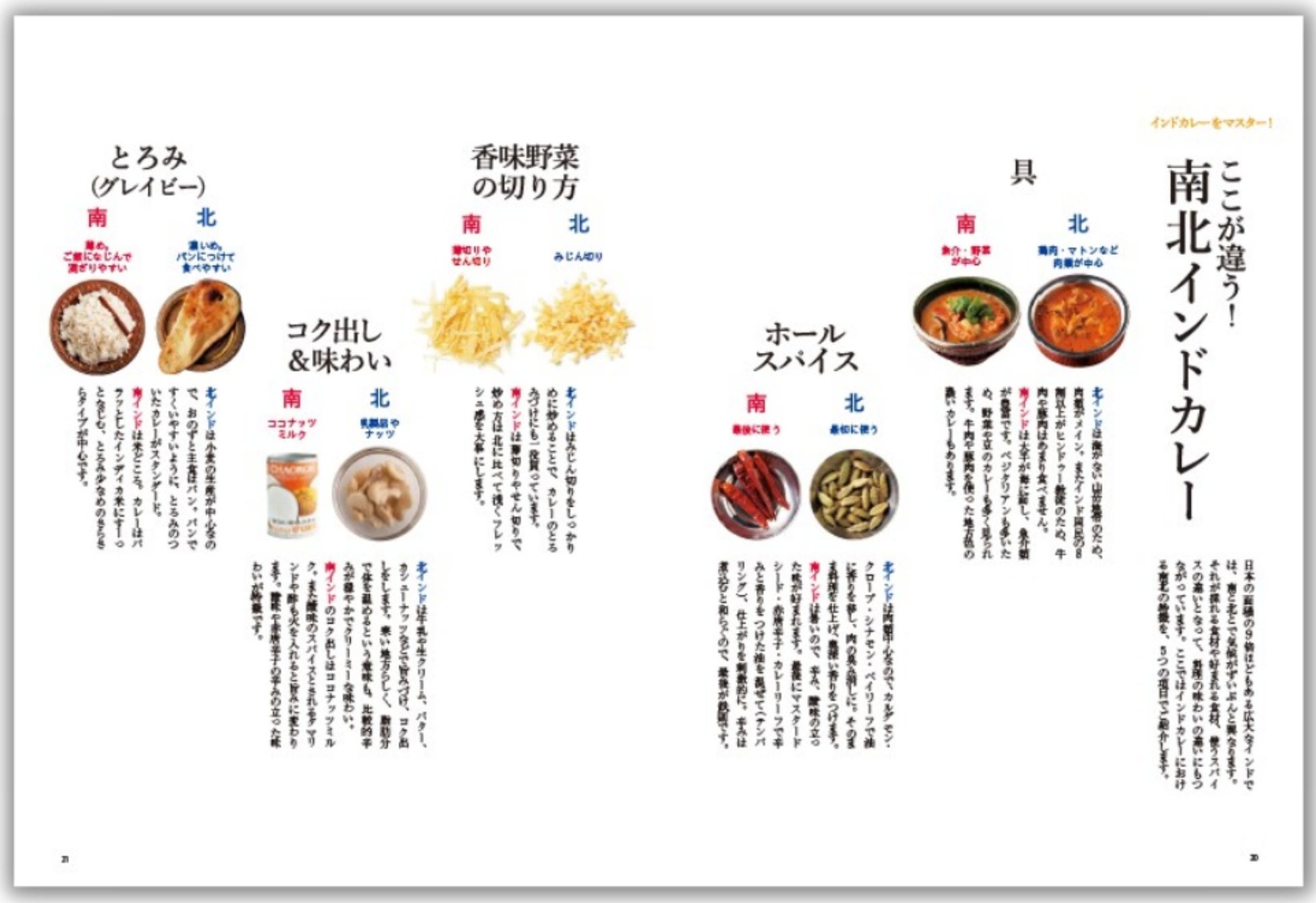 「ここが違う! 南北インドカレー」