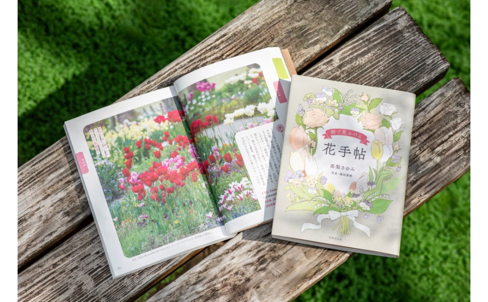 四季折々の花に出会う喜びを!花の名前がわかると、散歩がもっと楽しく 四季折々の花に出会う喜びを!花の名前がわかると、散歩がもっと楽しく