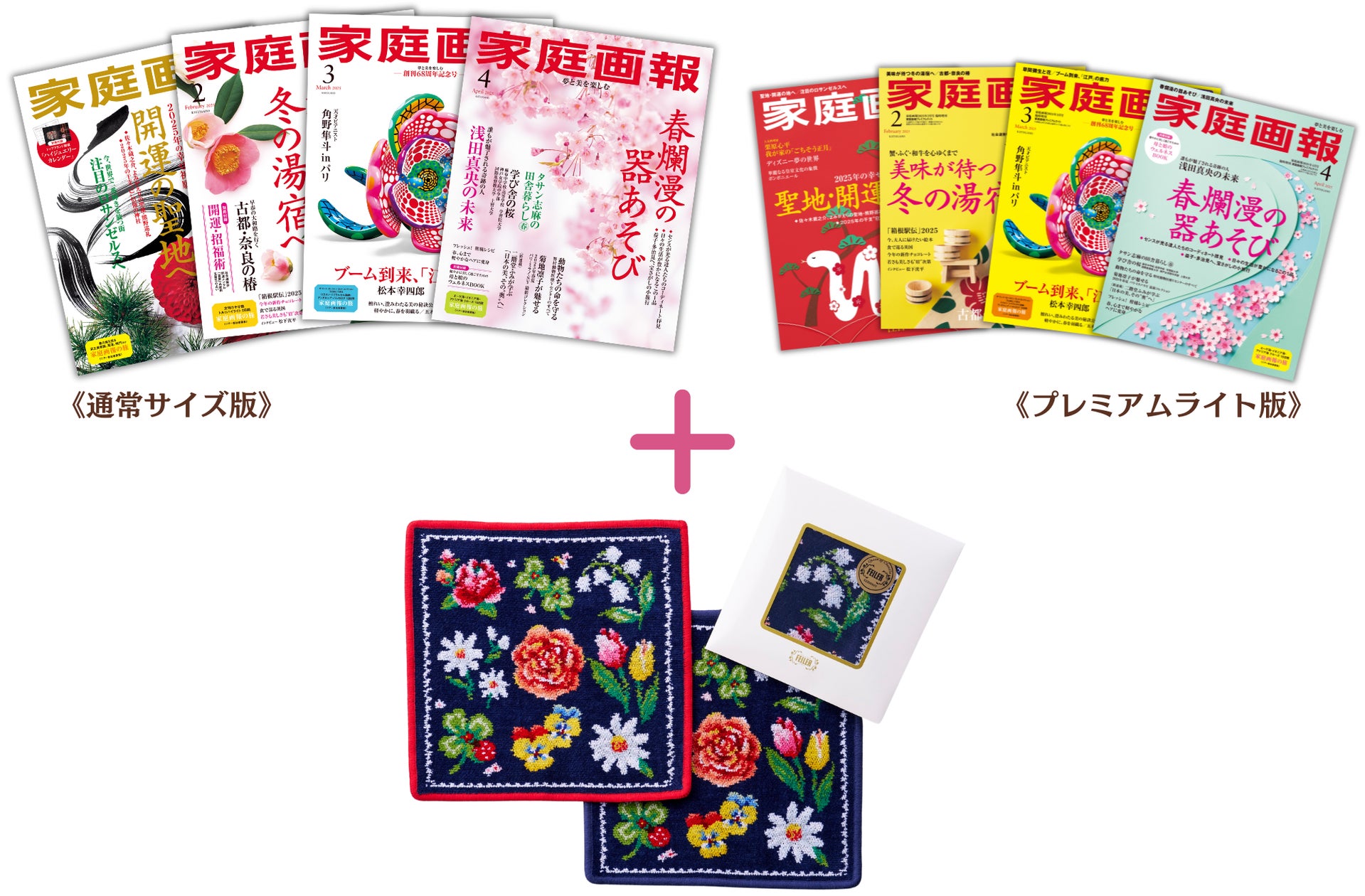 宝物♪今は幻の商品カーペンターズパンフレット 宝物♪今は幻の商品 宝物♪今は幻の商品カーペンターズパンフレット 宝物♪今は幻の商品