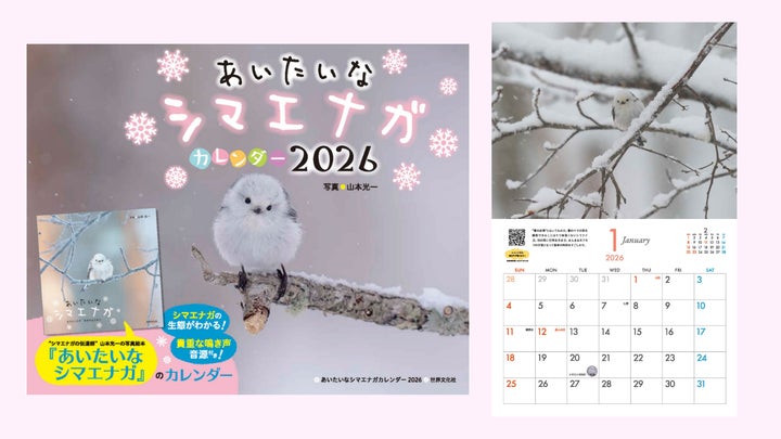かわいすぎて大人気!写真絵本『あいたいな シマエナガ』発の かわいすぎて大人気!写真絵本『あいたいな シマエナガ』発の