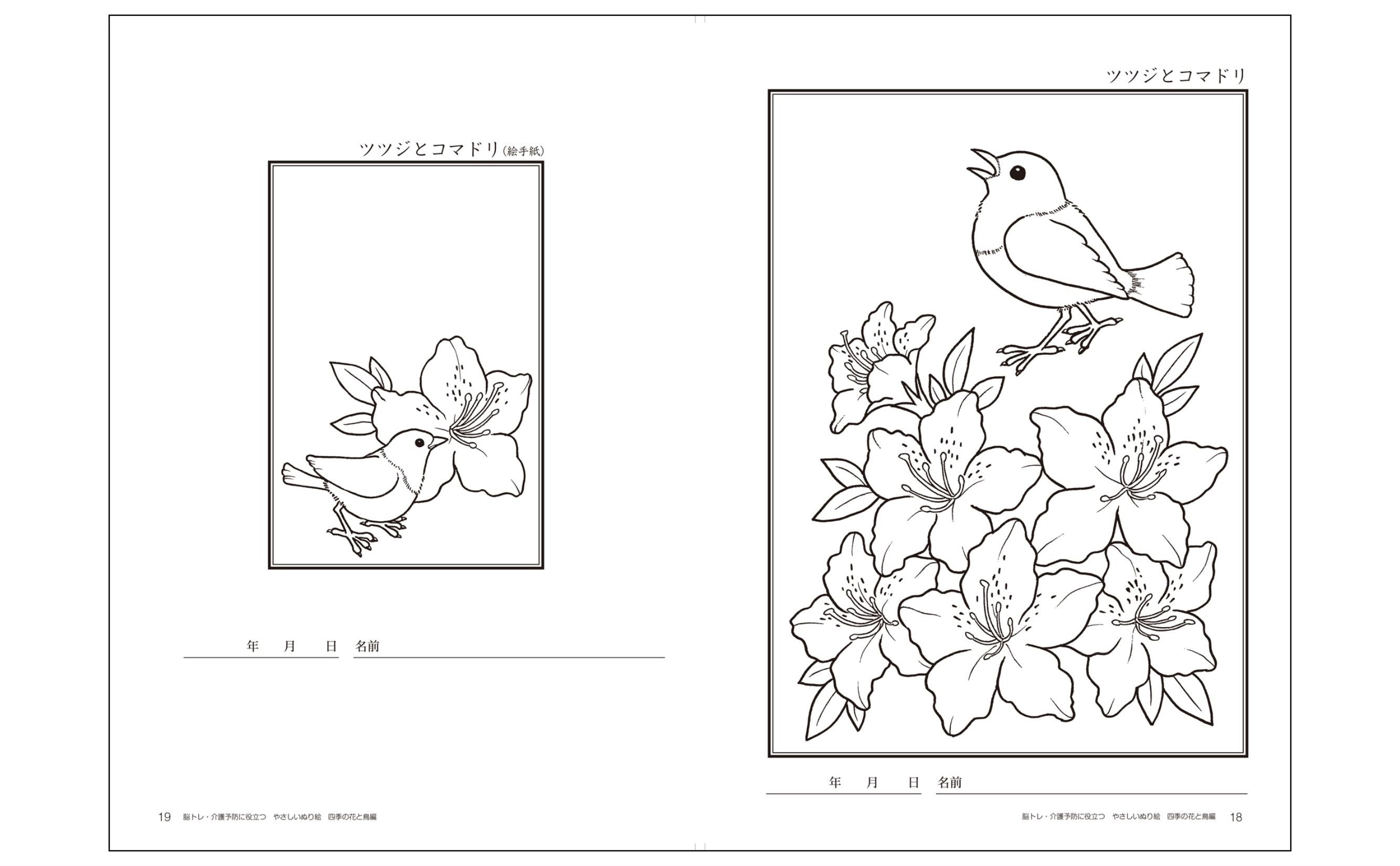 脳科学者が監修！】介護に役立つぬり絵の人気シリーズ最新刊『やさしい