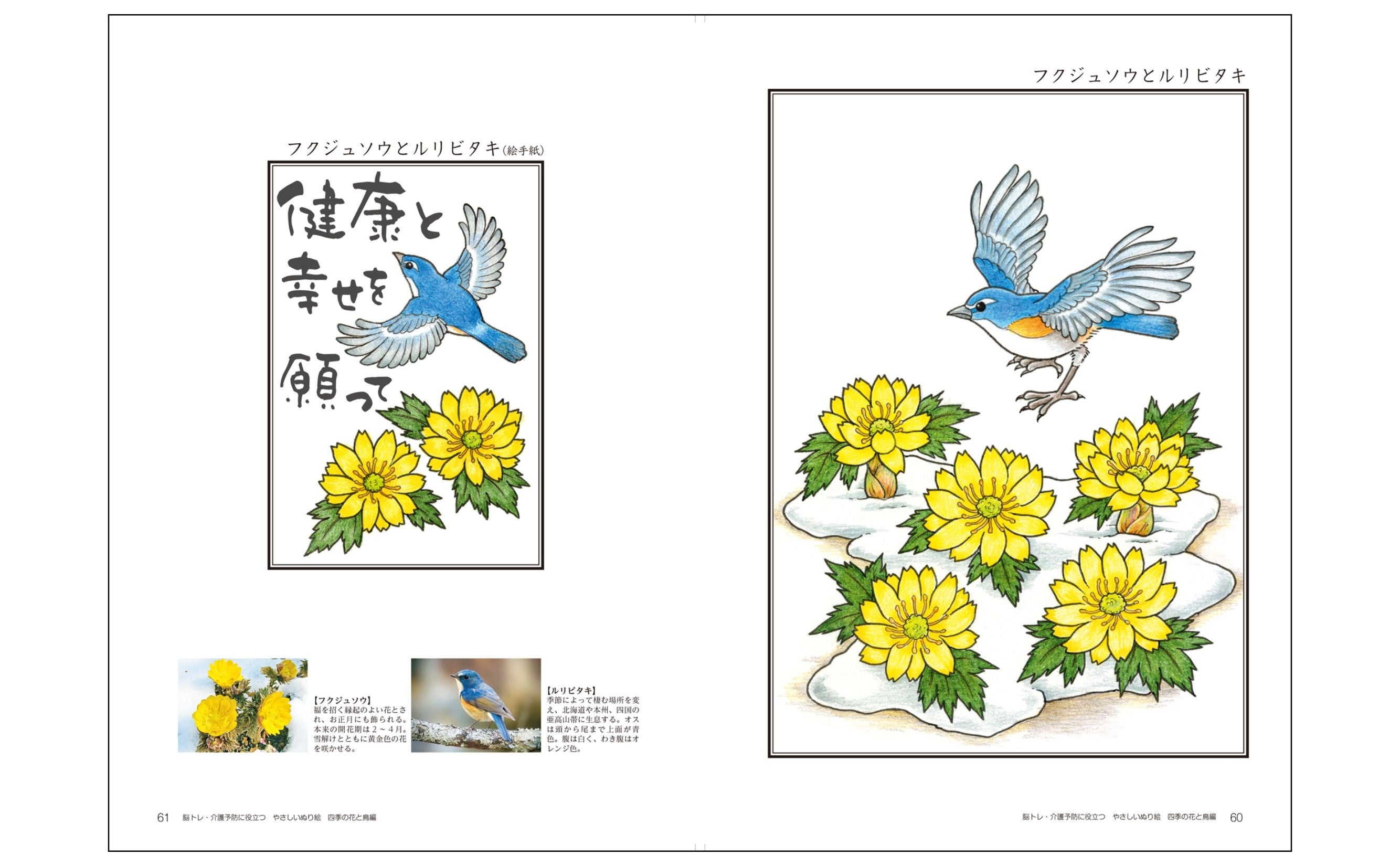 ぬり絵の手本 脳科学者が監修！】介護に役立つぬり絵の人気シリーズ最新刊『やさしい