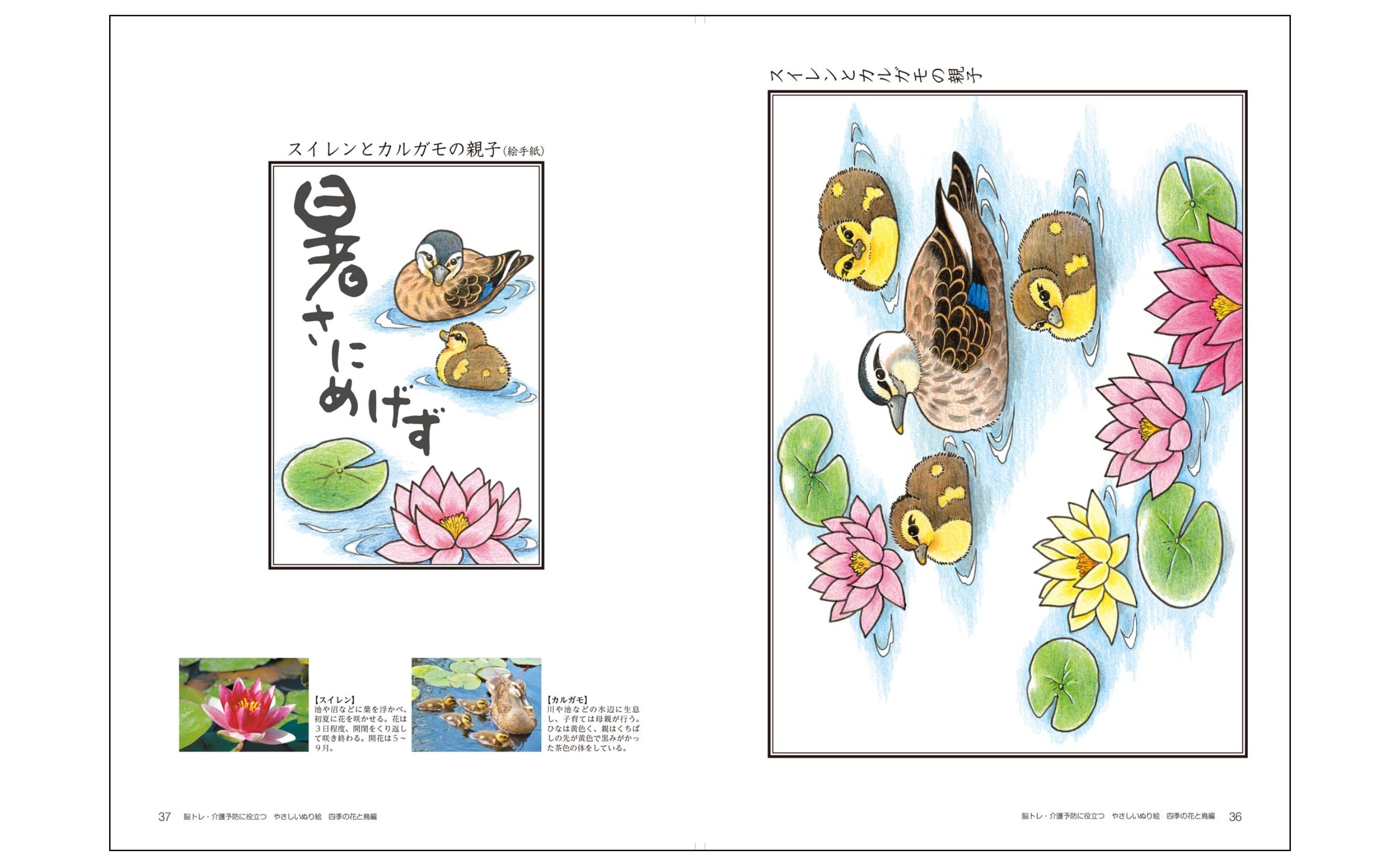 ぬり絵の手本 脳科学者が監修！】介護に役立つぬり絵の人気シリーズ最新刊『やさしい