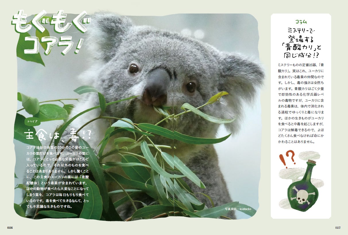 累計5万部突破‼】「かわいい」だけで終わらせたくない! 究極の 累計5万部突破‼】「かわいい」だけで終わらせたくない! 究極の