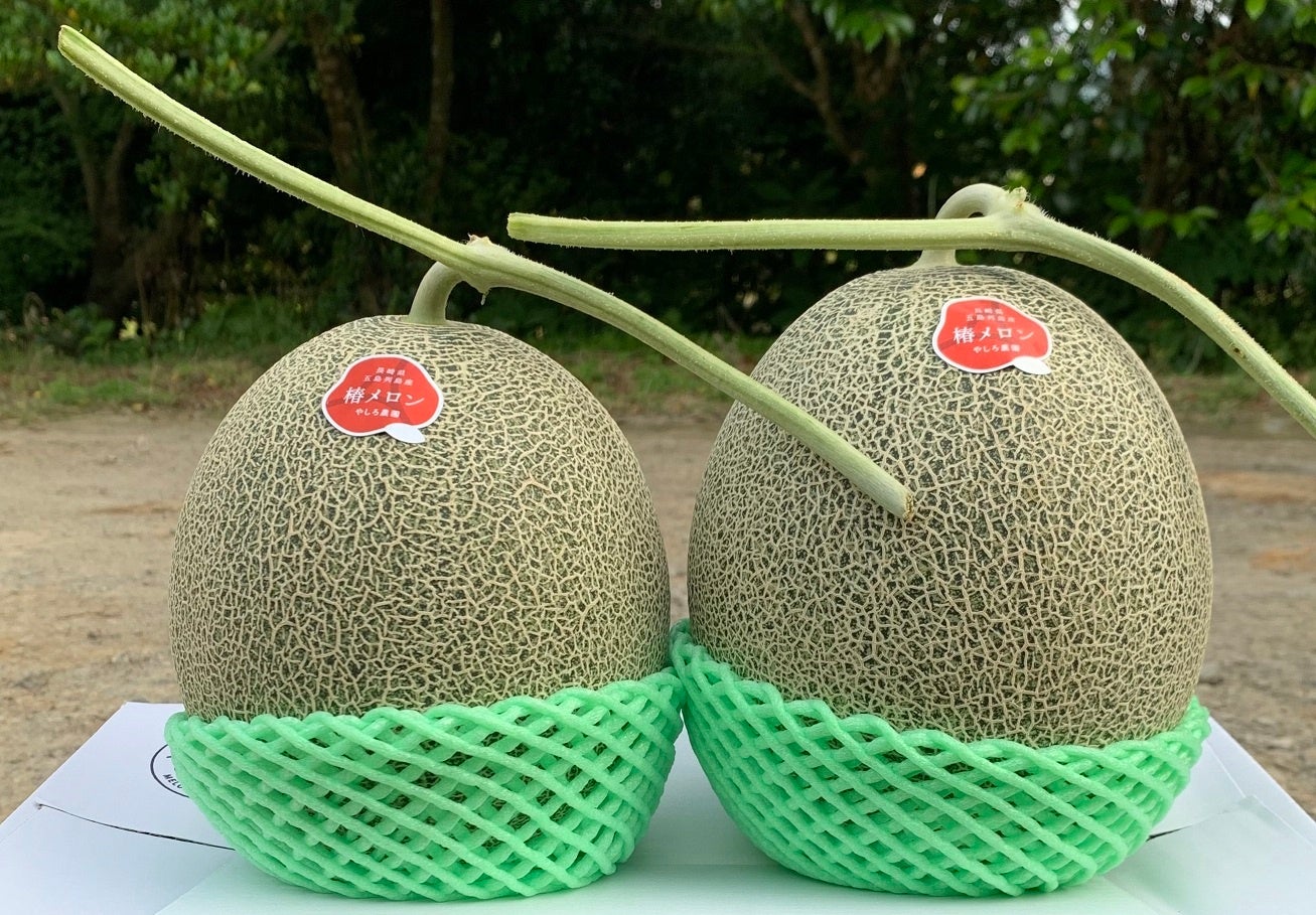 やしろ農園の「椿メロン」。かじると濃厚な甘みと、対照的にスッキリとした後味が特徴。