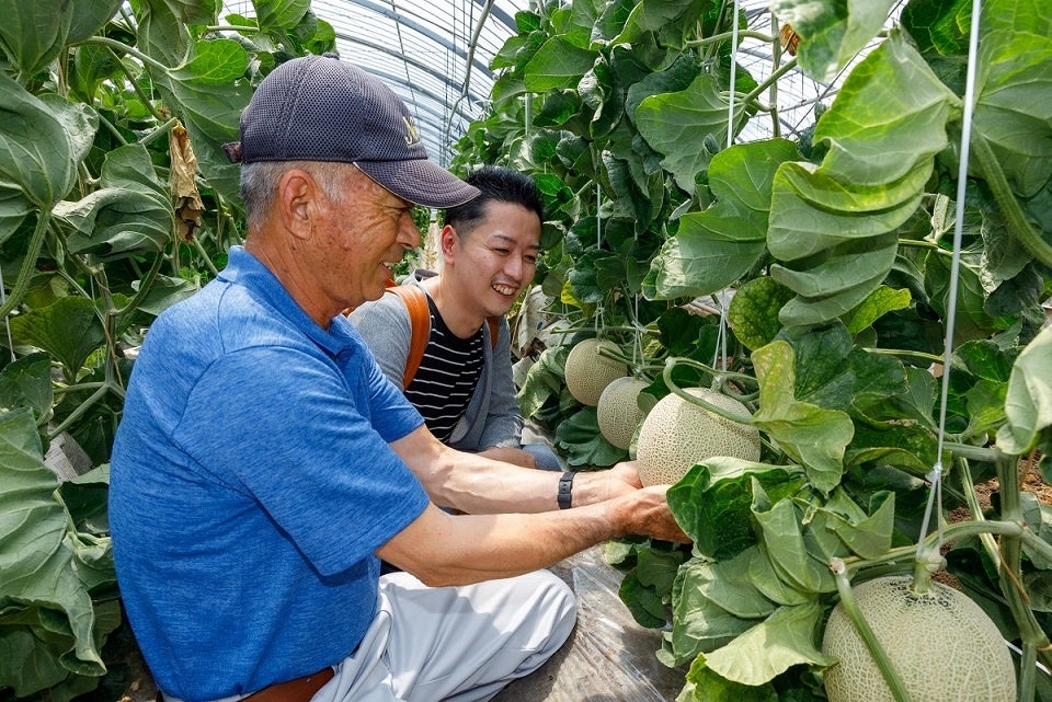 「堀農園」のメロンの出来栄えをみる生産者と窪津