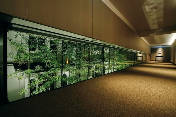 客室フロアの廊下から、竹林の庭を望む