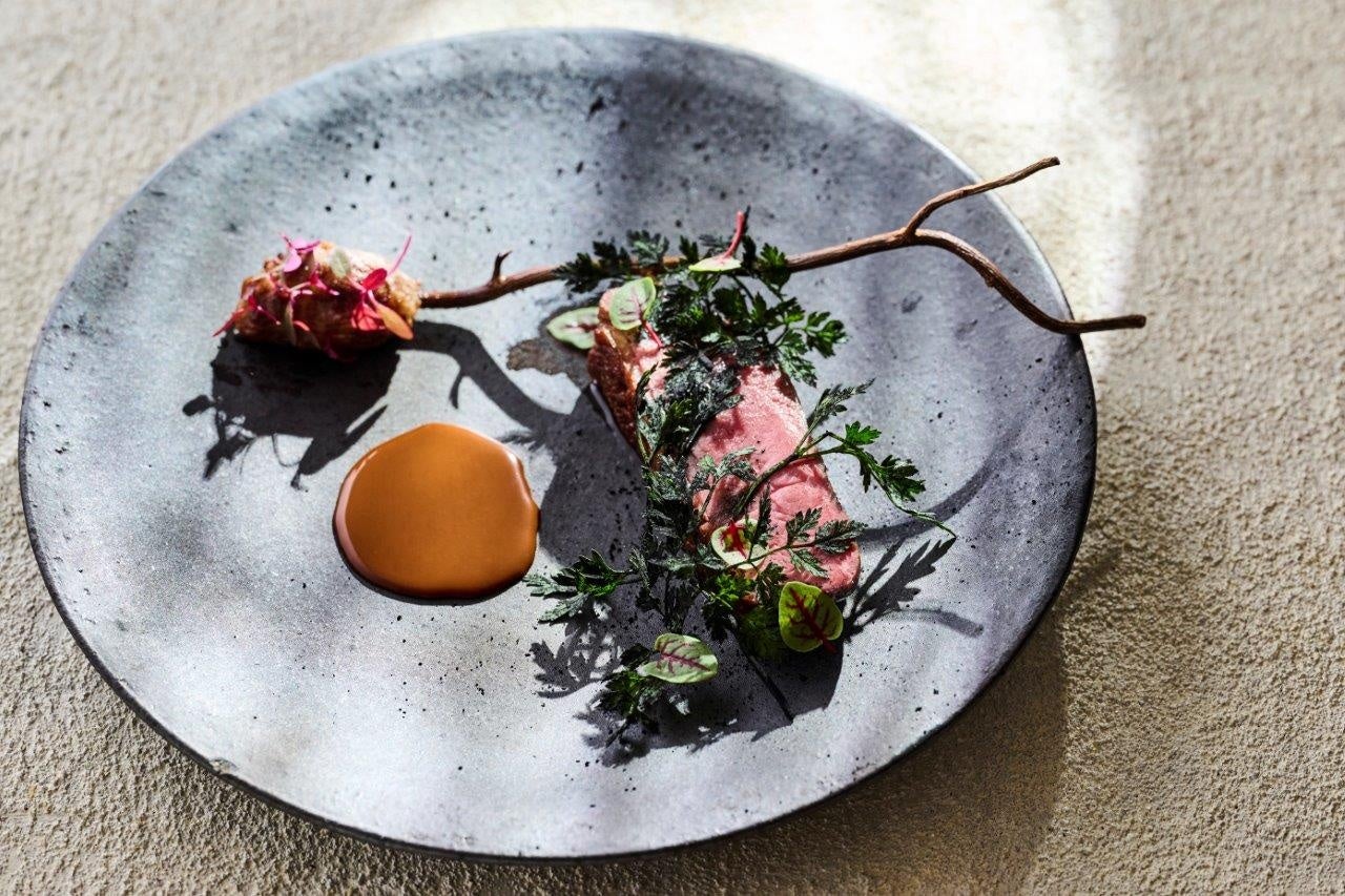 こちらは肉料理のイメージです（鳥取和牛ではありません）