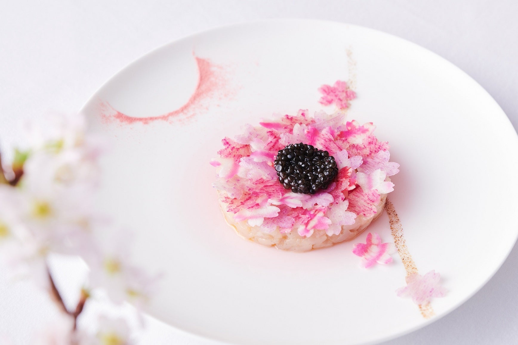 桜香る帆立貝のタルタルとキャビア<キャヴィアリ> カリフラワームース 桜舞う野菜のコポー