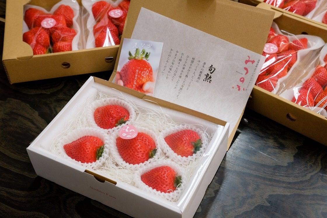 かご積みされた11粒のミニチュア苺 楽天市場】ミニチュア イチゴの通販 かご積みされた11粒のミニチュア苺