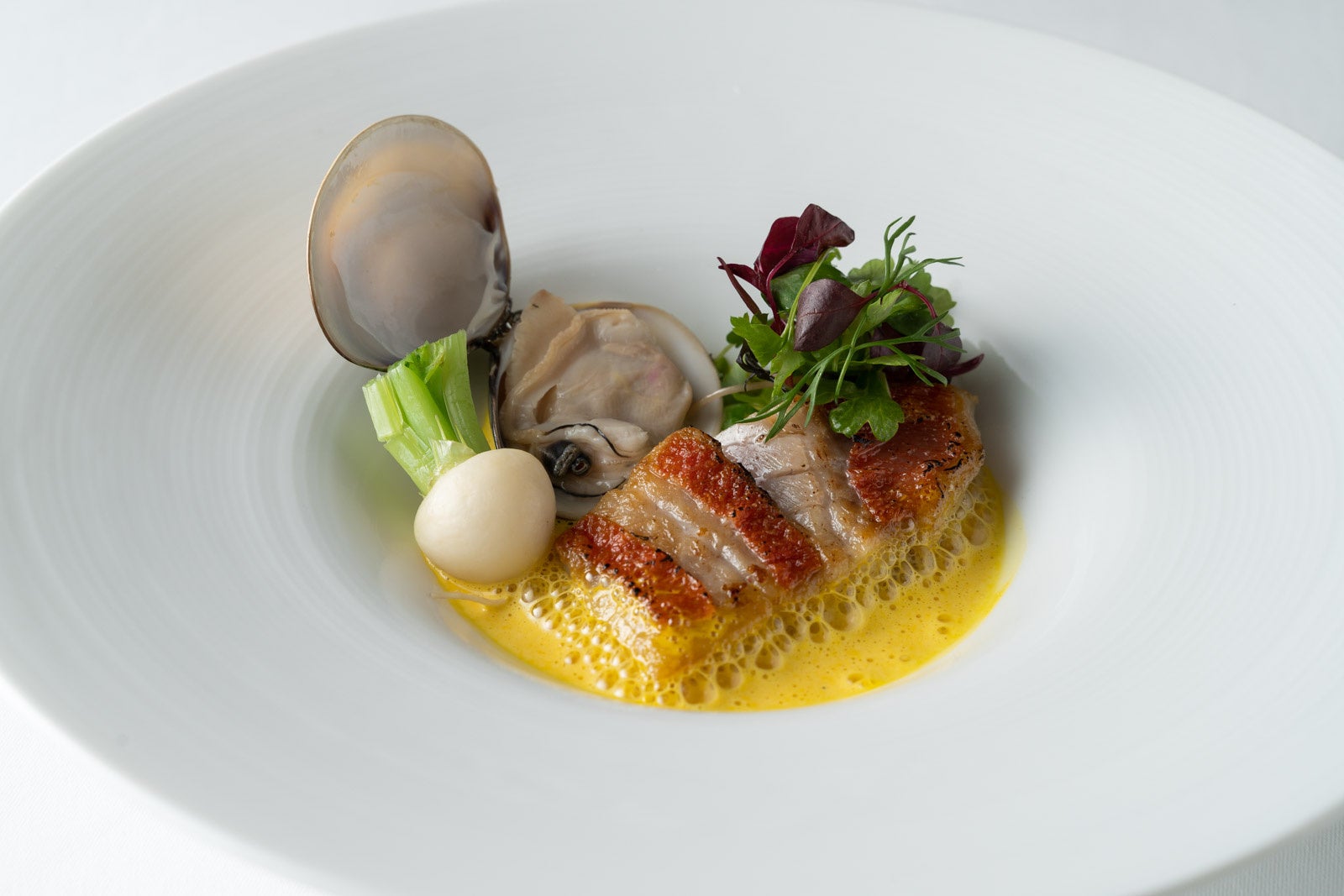 （料理イメージ）