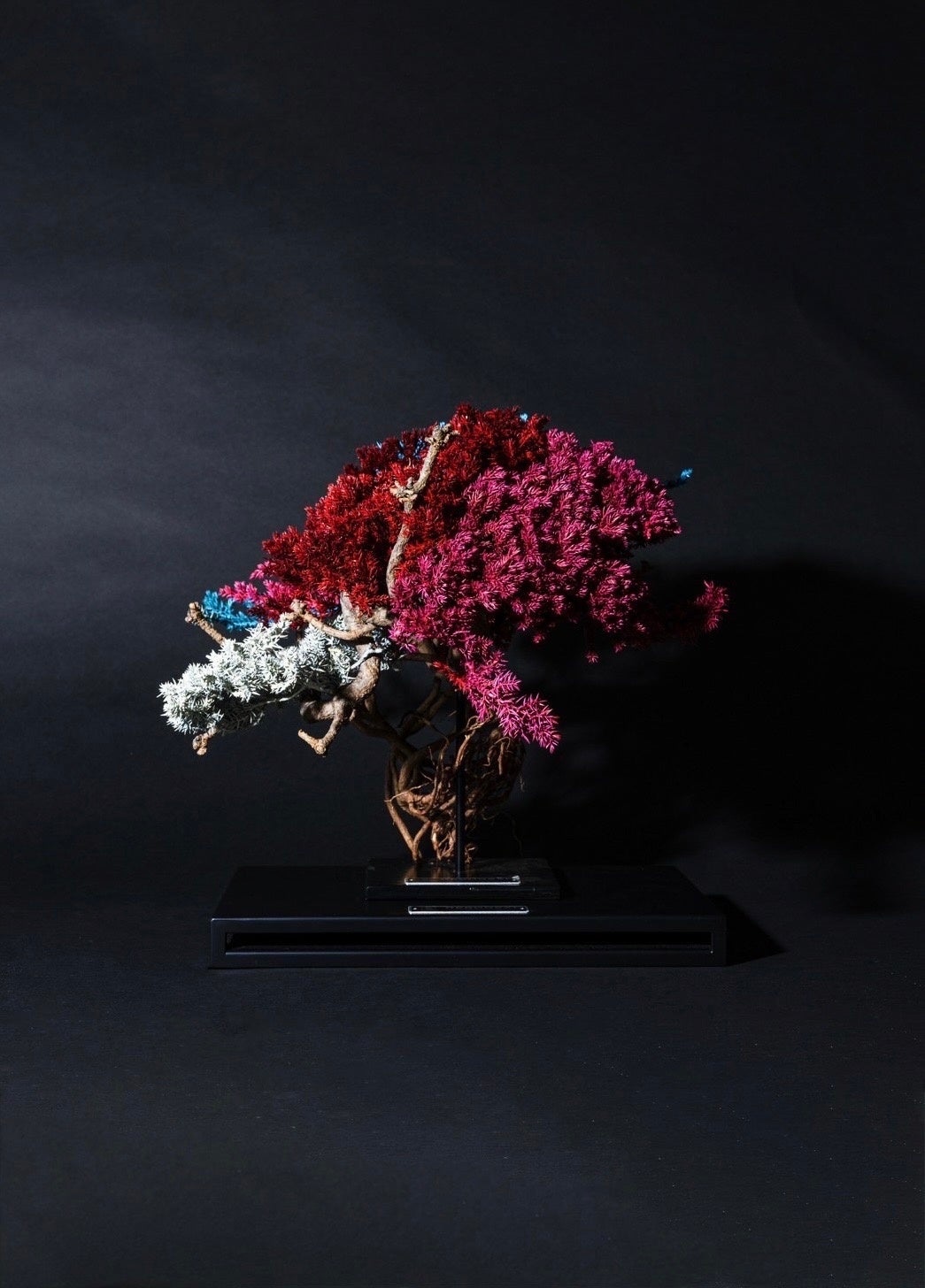 枯れない盆栽“RE BONSAI™” 初の海外出展が決定！台湾・台南市にて展示