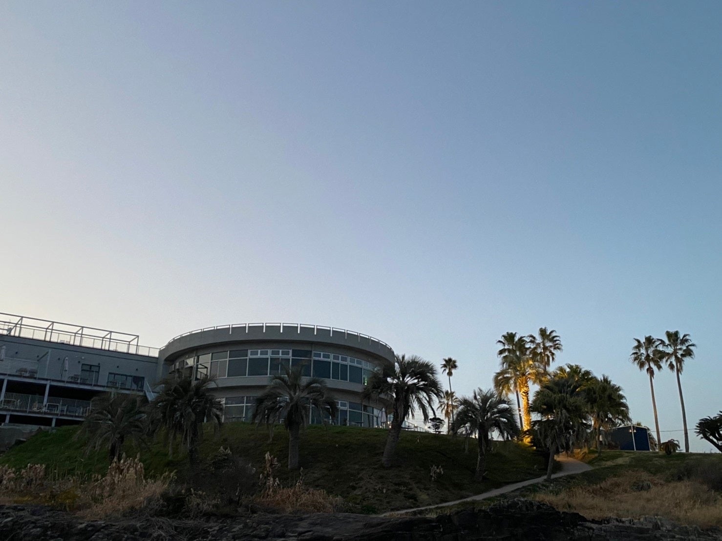 海岸からの景色