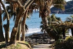 金ヶ浜海岸はすぐ目の前