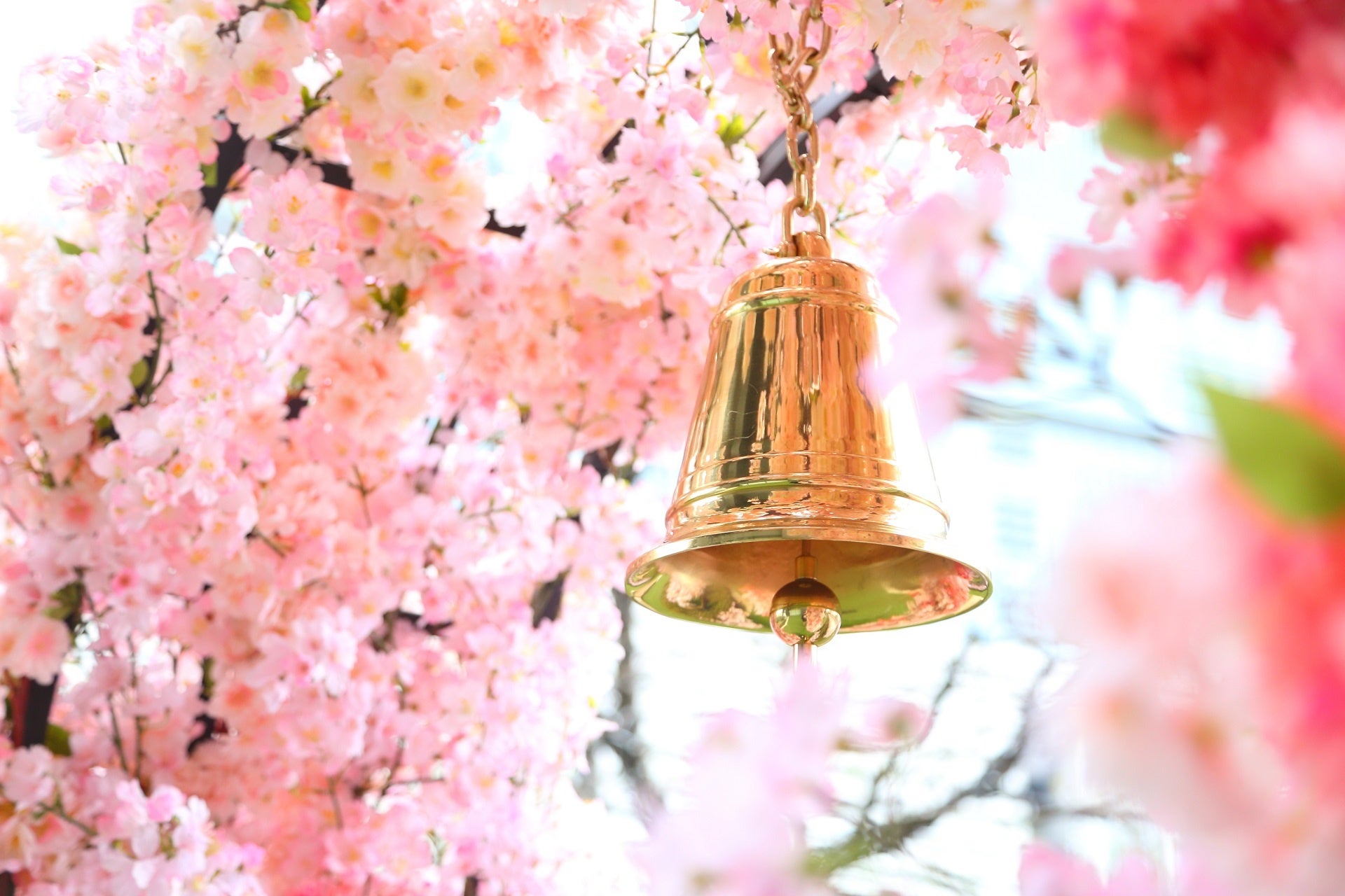 シンプルビューティーな銀箔名古屋帯▪銀箔の流れの岸辺に珊瑚ピンクの花々満開 Ueno Museum exhibition of Ooku, the women living in Edo