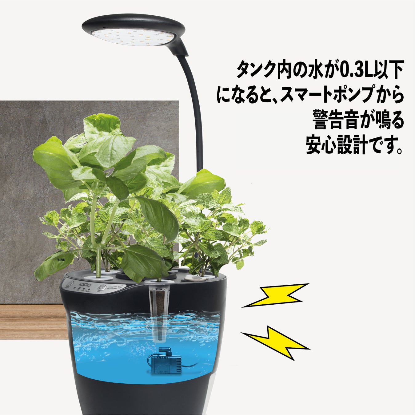 人気が高い iDOO 水耕栽培ガーデンキット 植物/観葉植物 - education