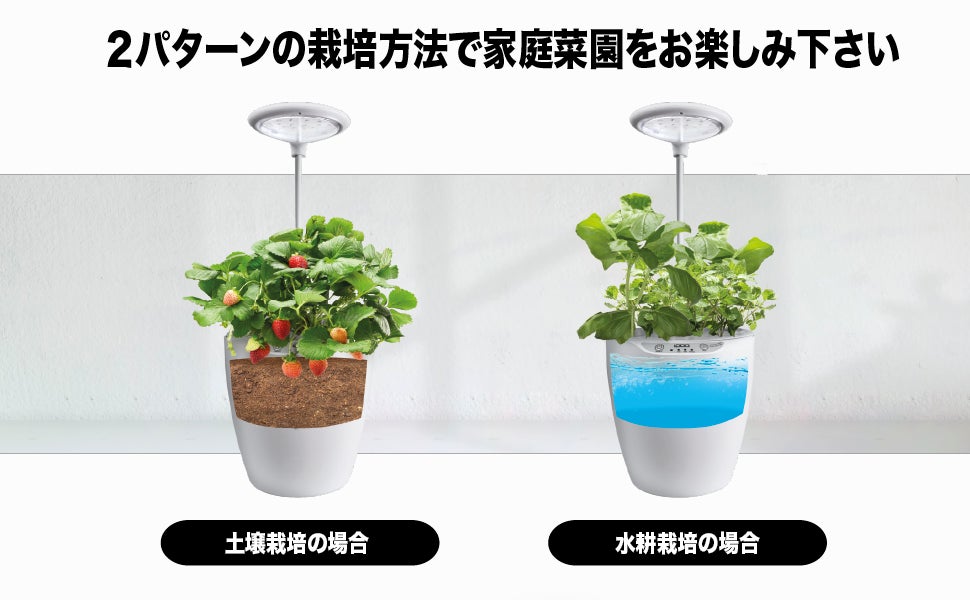 水耕栽培キット 7種類セット サニーレタス スイートバジル ルッコラ イタリアンパセリ 菜の花 水菜 からし菜 かいぬま農園 コミットアンドサラディアグリーン 栽培キット バジル 36点 Abracce Com Br 水耕栽培キット 7種類セット サニーレタス スイートバジル ルッコラ イタリアンパセリ 菜の花 水菜 からし菜 かいぬま農園 コミットアンドサラディアグリーン 栽培キット バジル 36点 Abracce Com Br