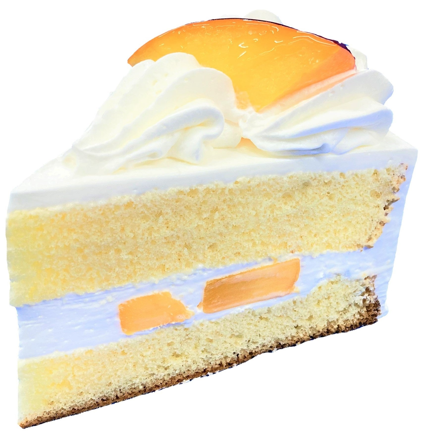 宮崎県産マンゴーショート