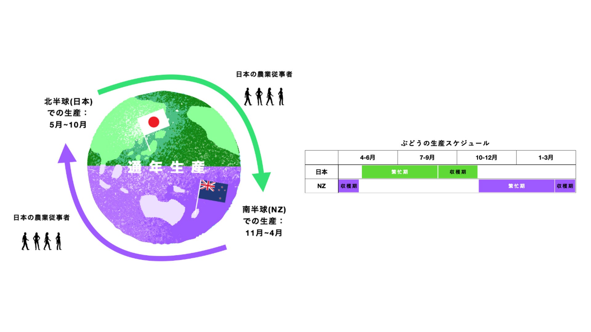 2拠点生産のスケジュール