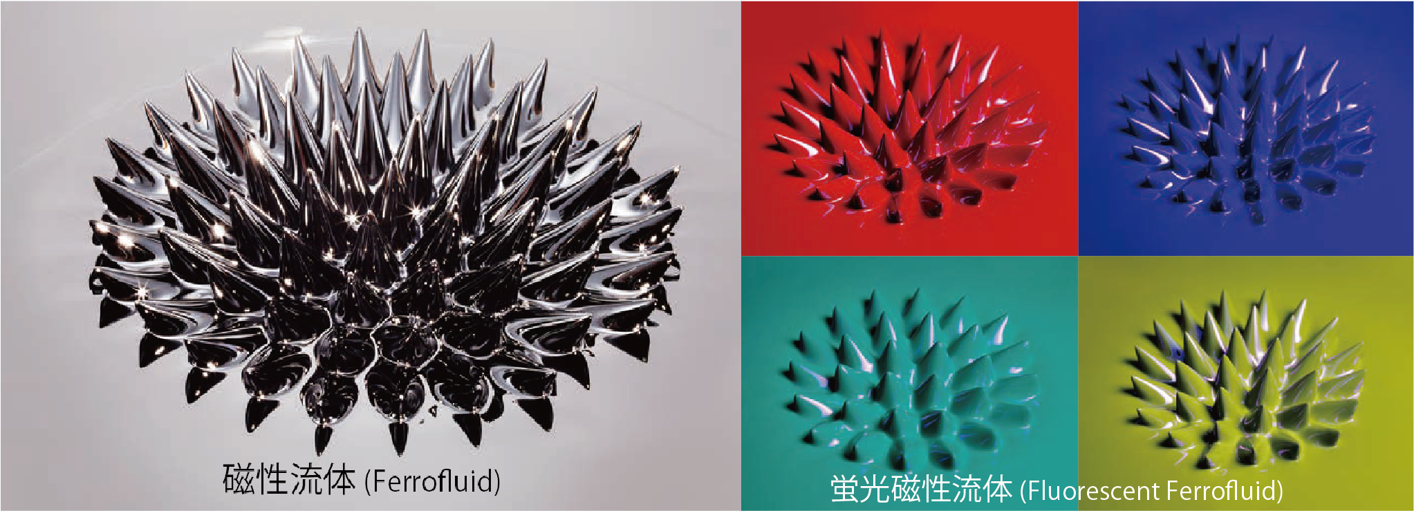 磁性流体と蛍光磁性流体4色