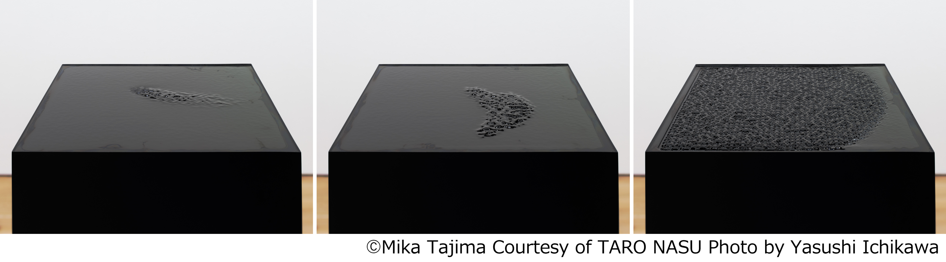 磁性流体を用いた「New Humans」の新たな作品